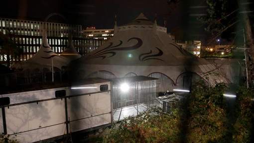 Un tigre abattu après s'être échappé d'un cirque à Paris Un tigre abattu après s'être échappé d'un cirque à Paris