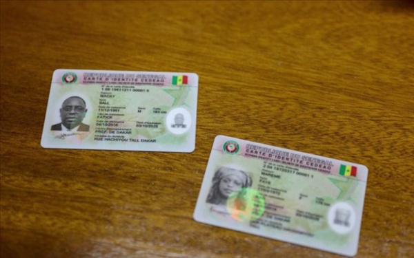 Aly Ngouille : « Il n’y a aucune carte d’électeur au ministère »
