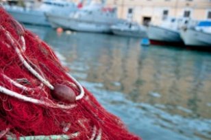 Pour échapper à la police, un Italien balance à la mer un migrant Sénégalais