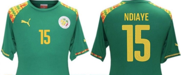 Équipementier des Lions : Puma est de retour Équipementier des Lions : Puma est de retour