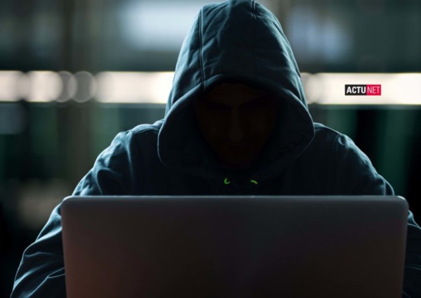 Le proprio de Seneporno : « Je ne réfléchi pas, je n’ai aucune pitié pour ceux qui… » Le proprio de Seneporno : « Je ne réfléchi pas, je n’ai aucune pitié pour ceux qui… »