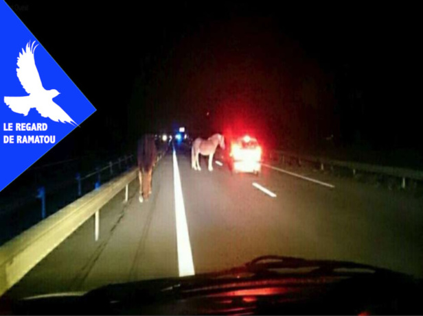 LE REGARD DE RAMATOU - Désengorgement de Dakar: Diass, le vrai faux prétexte LE REGARD DE RAMATOU - Désengorgement de Dakar: Diass, le vrai faux prétexte