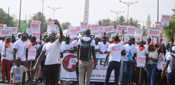 Me Amadou Sall : "On va sévèrement corriger Macky Sall" Me Amadou Sall : "On va sévèrement corriger Macky Sall"