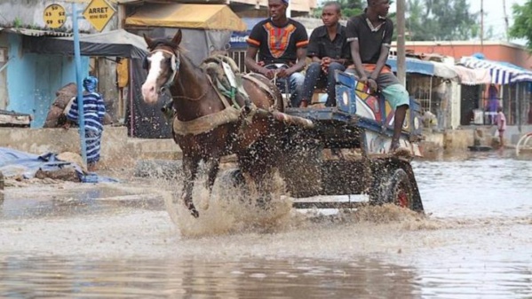 Activités pluvio-orageuses d’intensités variables attendues au sud-ouest (ANACIM) Activités pluvio-orageuses d’intensités variables attendues au sud-ouest (ANACIM)