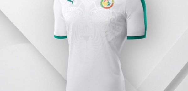 Engagements financiers : Puma n'a rien versé à la Fédé de foot Engagements financiers : Puma n'a rien versé à la Fédé de foot