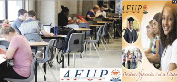 Association de malfaiteurs, escroquerie au visa et de faux et usage de faux : Les dirigeants de Afup Canada mis à la disposition du parquet