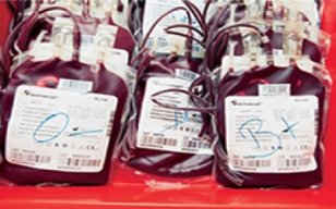 Sénégal-Gambie : La vérité sur les poches de sang Sénégal-Gambie : La vérité sur les poches de sang