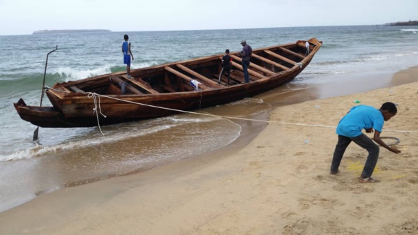 Immigration clandestine : Une pirogue de migrants échoue à la Porte du Millénaire Immigration clandestine : Une pirogue de migrants échoue à la Porte du Millénaire