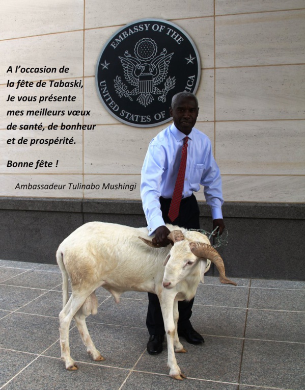 Tabaski : L'ambassadeur des États-Unis pose avec son mouton