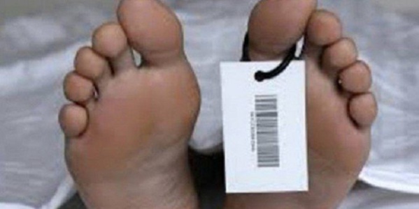 Vélingara Ferlo: Un transhumant tué par Balle à Bokki Ndar Vélingara Ferlo: Un transhumant tué par Balle à Bokki Ndar