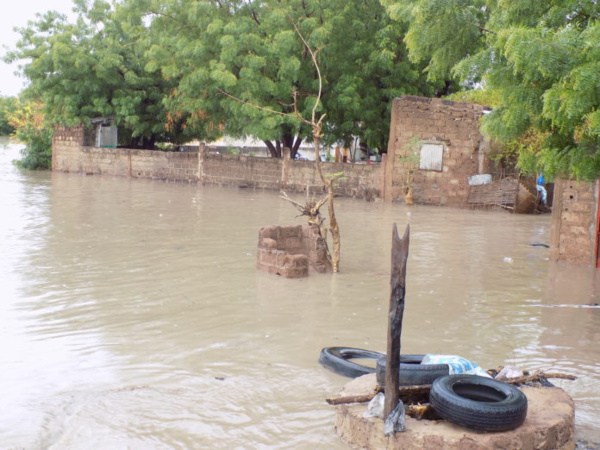 Fortes pluies : Le point à Kaolack et Fatick Fortes pluies : Le point à Kaolack et Fatick