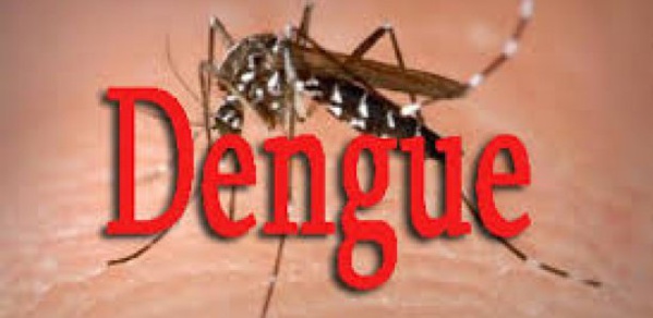 Fatick: La dengue progresse, 12 cas enregistrés Fatick: La dengue progresse, 12 cas enregistrés