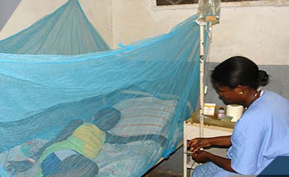 Fatick: Vingt-trois cas de Dengue confirmés
