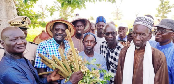 Dr Papa Abdoulaye Seck à Thiès : " On a une bonne campagne agricole matérialisée par un bon développement végétatif..."