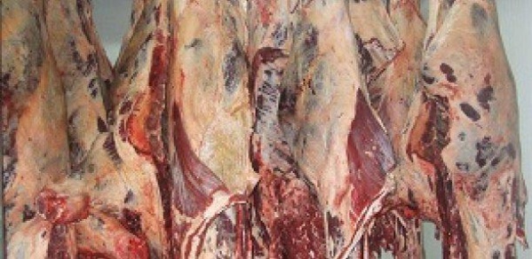 Magal-2018 : Les mesures contre les abattages clandestins Magal-2018 : Les mesures contre les abattages clandestins