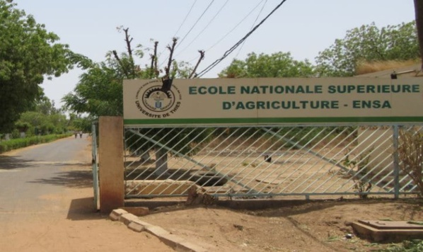 Scandale Financier À L’Ecole Nationale Supérieure D’agriculture