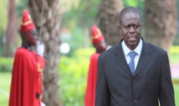 Coupe Abusive De Bois : Le Sénégal Corse Les Peines Coupe Abusive De Bois : Le Sénégal Corse Les Peines