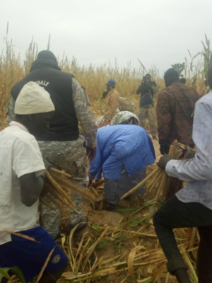 Samuel Sarr, le candidat dévot, sacrifie au rituel à Lagane Samuel Sarr, le candidat dévot, sacrifie au rituel à Lagane