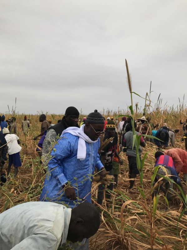 Samuel Sarr, le candidat dévot, sacrifie au rituel à Lagane Samuel Sarr, le candidat dévot, sacrifie au rituel à Lagane