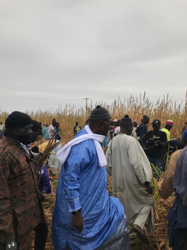 Samuel Sarr, le candidat dévot,  sacrifie au rituel à Lagane