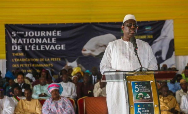 LE PRÉSIDENT SALL PROMET UN SOUTIEN ACCRU À L’ÉLEVAGE LE PRÉSIDENT SALL PROMET UN SOUTIEN ACCRU À L’ÉLEVAGE