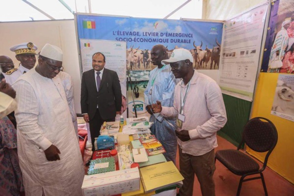 LE PRÉSIDENT SALL PROMET UN SOUTIEN ACCRU À L’ÉLEVAGE LE PRÉSIDENT SALL PROMET UN SOUTIEN ACCRU À L’ÉLEVAGE