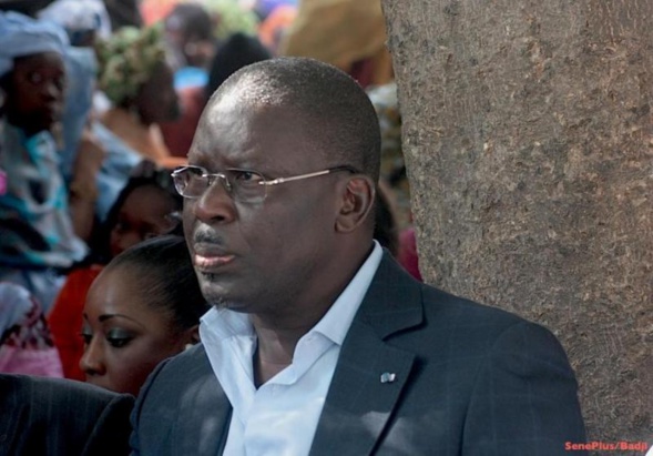 Babacar Gaye, porte parole du Pds, va enfin briser le silence Babacar Gaye, porte parole du Pds, va enfin briser le silence