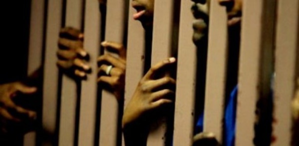 Prisons au Sénégal : Les chiffres glaçants du surpeuplement