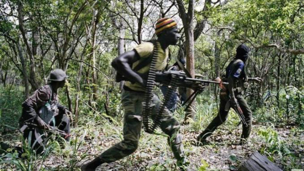 Casamance : Des brigands ont braqué des agents du programme Puma, emportant avec eux leur voiture