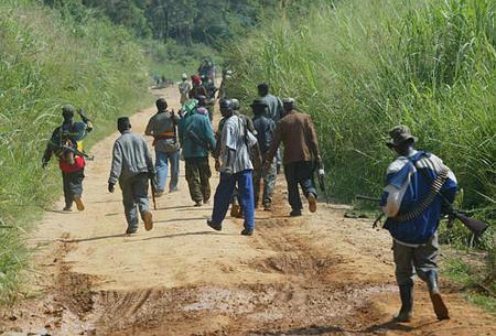 Attaque armée en Casamance : Des bœufs volés et acheminés vers la Guinée-Bissau
