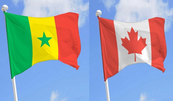 Escroquerie : Afip Canada déleste 200 étudiants de 150 millions Escroquerie : Afip Canada déleste 200 étudiants de 150 millions