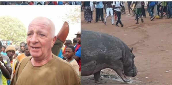 Kédougou : Ce que risque le chasseur qui a tué l'hippopotame