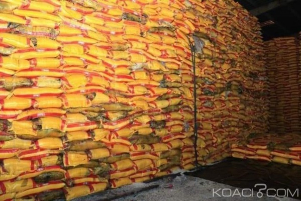 Affaire des 18 000 tonnes de riz birman déchargé au port d'Abidjan : La procédure de destruction de la cargaison est enclenchée