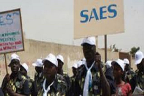 Enseignement Supérieur : Le SAES  Avertit Cheikh Oumar HANN