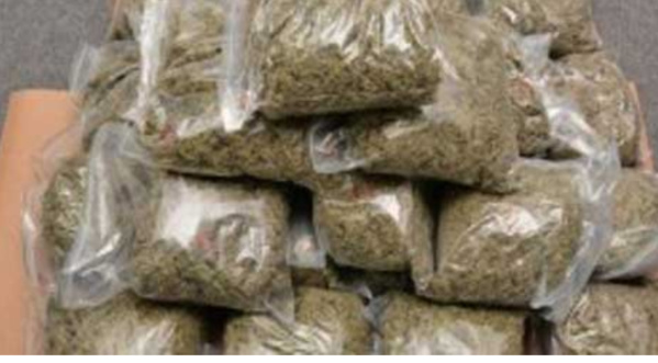 Foundiougne : 229 Kg De Chanvre Indien Saisis