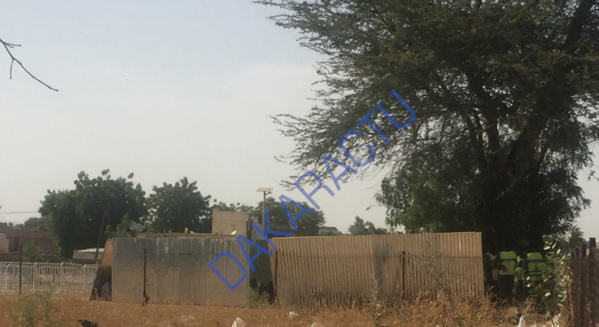Cimetières « Bahiya » : Voici le mausolée de Cheikh Béthio Thioune (PHOTOS)