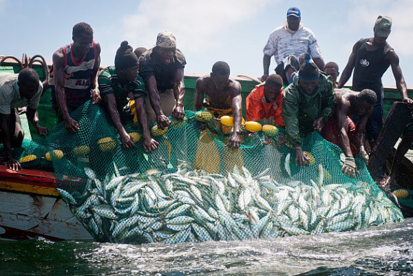 Gokhou-Mbathie : Cinq pêcheurs portés disparus