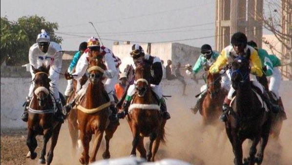THIÈS : LES COURSES HIPPIQUES REPRENNENT APRÈS DEUX MOIS DE SUSPENSION LIÉE À LA GOURME THIÈS : LES COURSES HIPPIQUES REPRENNENT APRÈS DEUX MOIS DE SUSPENSION LIÉE À LA GOURME
