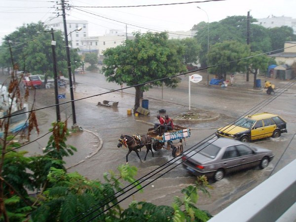 Ziguinchor : Une première pluie fait beaucoup de dégâts.