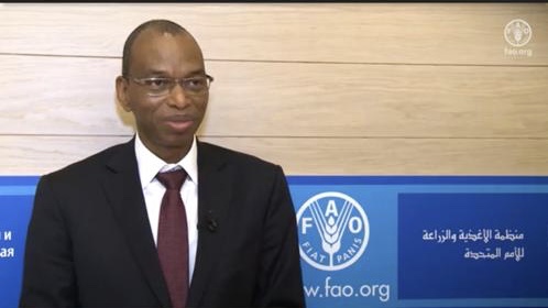 ROME : Le ministre de l’Agriculture Moussa Baldé reçu à la FAO.