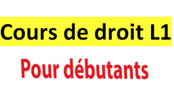 Code Pénal : La Terrible Confusion Entre Les Articles 80 Et 254