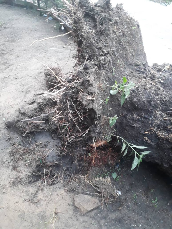 DES ÉPISODES PLUVIO-ORAGEUX AU COURS DES PROCHAINES HEURES DES ÉPISODES PLUVIO-ORAGEUX AU COURS DES PROCHAINES HEURES