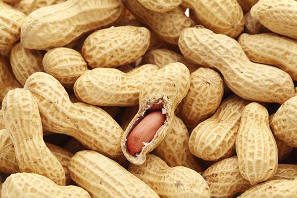 Campagne de commercialisation de l’arachide : l’Eat suspecté de vouloir suspendre la subvention de 22 milliards FCFA Campagne de commercialisation de l’arachide : l’Eat suspecté de vouloir suspendre la subvention de 22 milliards FCFA