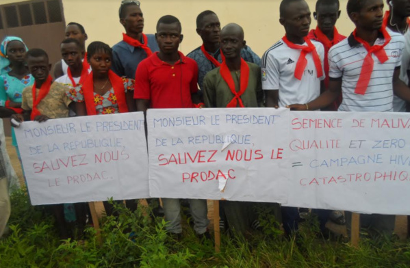 Emplois Fictifs Au PRODAC Emplois Fictifs Au PRODAC