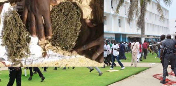 UCAD - Comment la sécurité du COUD a pisté et alpagué I. Guèye, le dealer de "YAMBA"