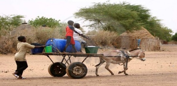 Linguère : Une fille de 12 ans meurt écrasée par un fût d’eau tombé d'une charrette Linguère : Une fille de 12 ans meurt écrasée par un fût d’eau tombé d'une charrette