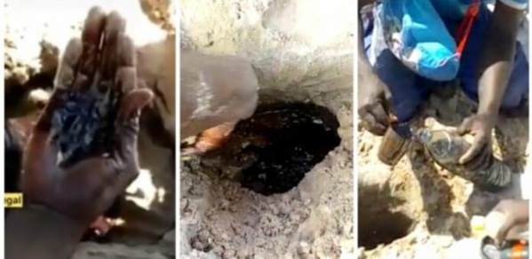 Pollution aux hydrocarbures sur la plage de Thiaroye : Les mesures urgentes d’Abdou Karim Sall Pollution aux hydrocarbures sur la plage de Thiaroye : Les mesures urgentes d’Abdou Karim Sall