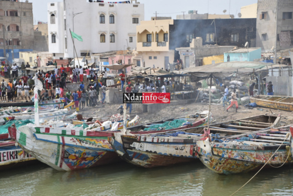 Rage des pêcheurs : plusieurs blessés et beaucoup de dégâts matériels enregistrés (photos) Rage des pêcheurs : plusieurs blessés et beaucoup de dégâts matériels enregistrés (photos)