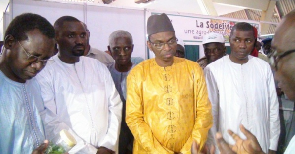 Coronavirus : Deux ministres (Moussa Baldé et Samba Ndiobène Kâ) priés de ne pas assister à la réunion du Conseil des ministres ce mercredi
