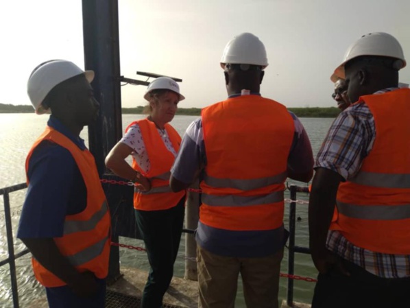 Mme Jany Arnal, Directrice Générale de SEN’EAU - Eau du SENEGAL: Un style et des actes pour la promotion de la femme Mme Jany Arnal, Directrice Générale de SEN’EAU - Eau du SENEGAL: Un style et des actes pour la promotion de la femme